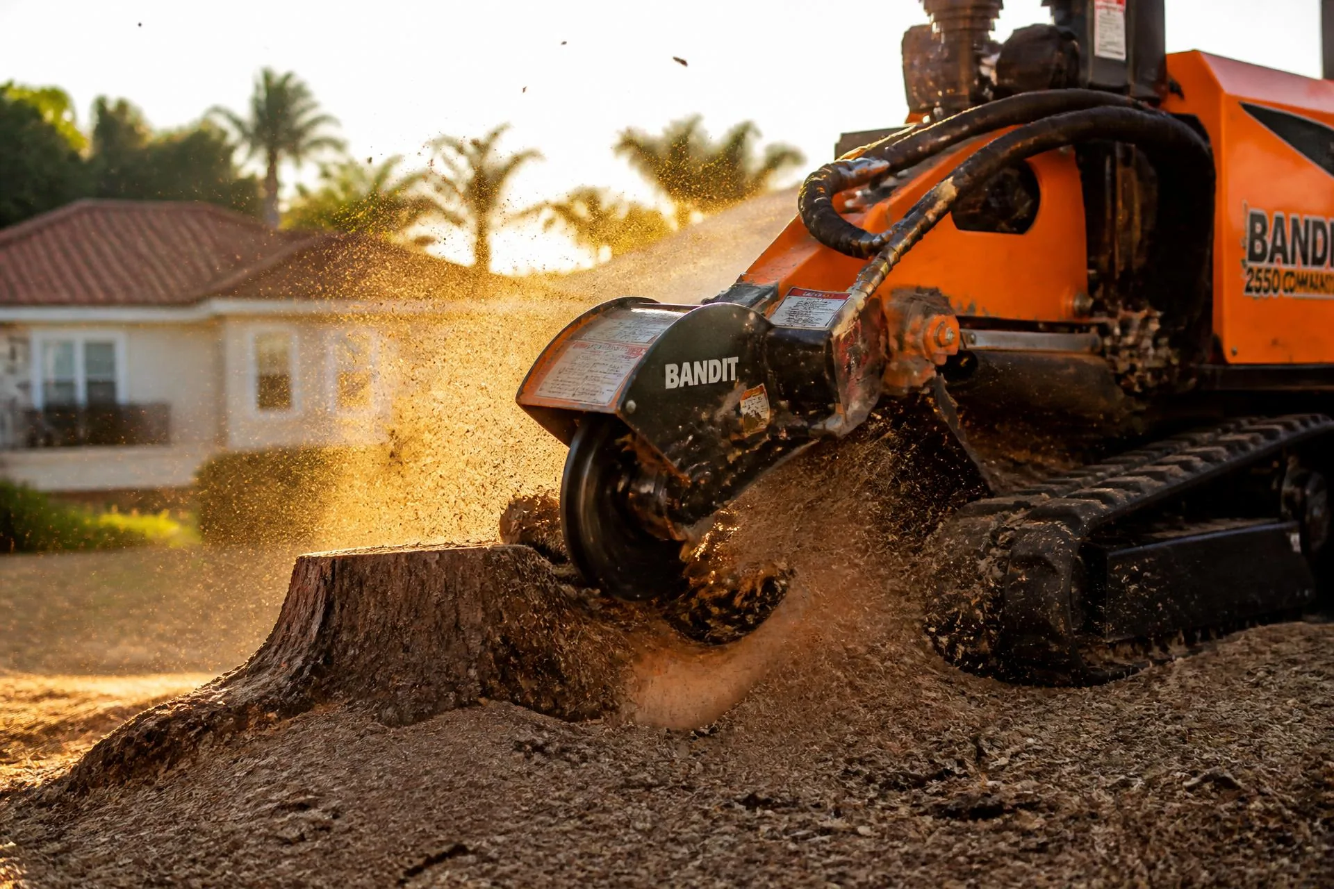 Clear Peak stump grinding technician grinding a large tree stump below grade at a Los Angeles property